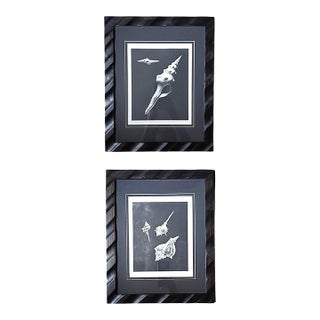 Pair of Framed Sea Shell Photograph Prints in Black Matte and Carved Wooden Frame For Sale