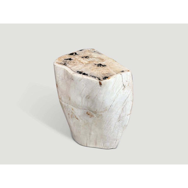 Andrianna Shamaris Multifaceted Modern Organic Petrified Wood Side Table For Sale In New York - Image 6 of 6