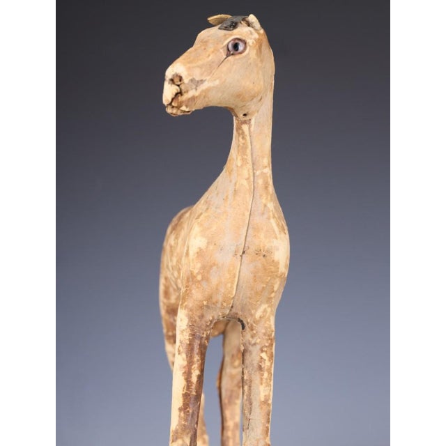Antique Horse Covered in Genuine Horse Hide with Glass Eyes, 1890 For Sale - Image 14 of 16