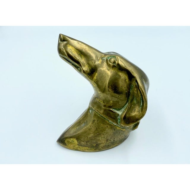 French Brass Greyhound Head, 1950s For Sale - Image 10 of 12