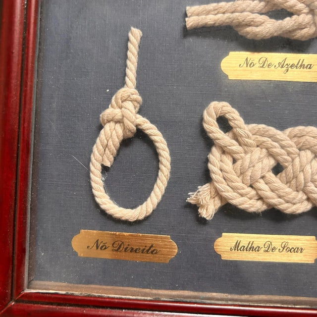 Vintage Framed Nautical Knot Display With Portuguese Labels- Coastal Wall Decor For Sale - Image 4 of 7