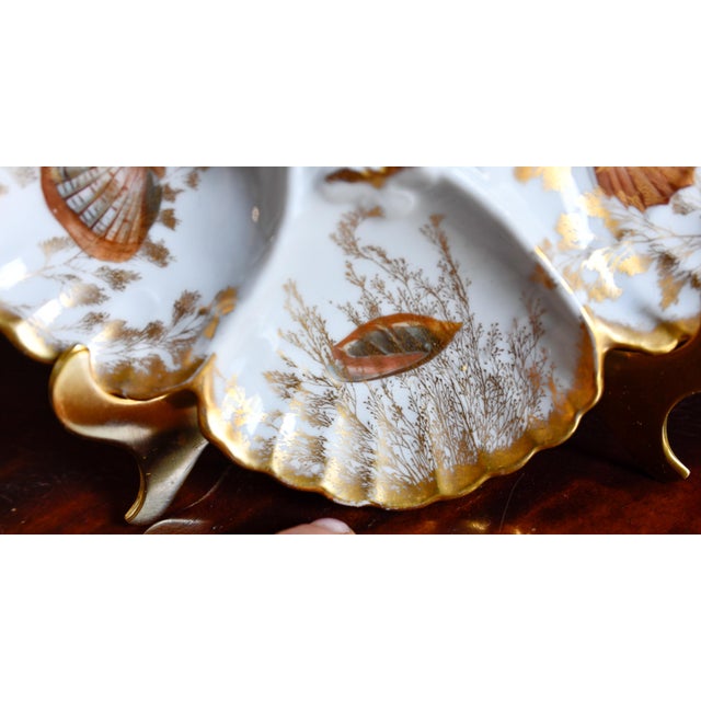 Antique Limoges T v Oyster Plate, Jones McDuffee & Stratton, Hand-Painted Shells, C. 1892-1907 For Sale In Washington DC - Image 6 of 10