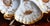 Antique Limoges T v Oyster Plate, Jones McDuffee & Stratton, Hand-Painted Shells, C. 1892-1907 For Sale In Washington DC - Image 6 of 10