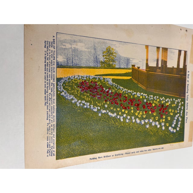Antique Garden Iris Print For Sale In New York - Image 6 of 6