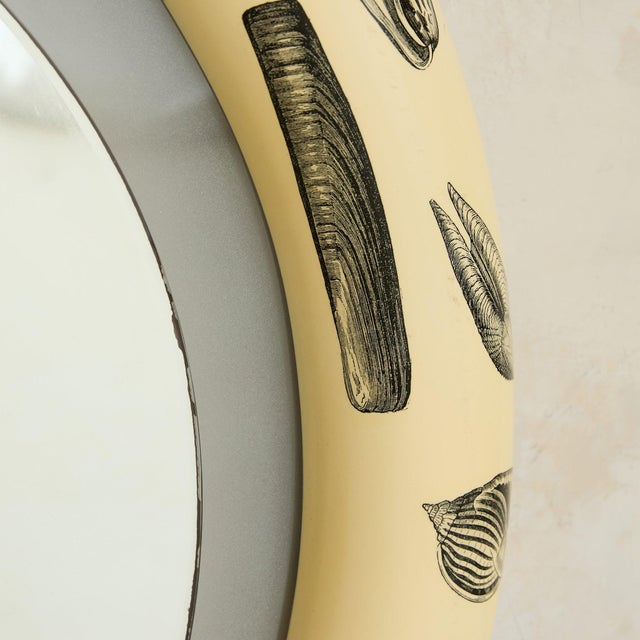 Glass Italian Shell Motif Backlit Wall Mirror, 1960s For Sale - Image 7 of 11