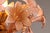Murano Pink Lilly Floorlamp Murano Glass and Gilt Brass by Franco Luce, 1970 For Sale - Image 6 of 13