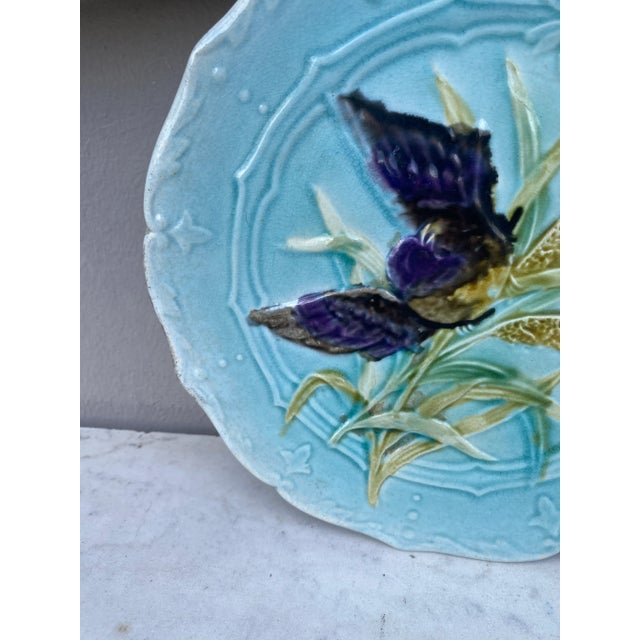 Lovely Majolica plate with bird and insect, leaves signed Saint Amand, circa 1890.