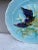 Lovely Majolica plate with bird and insect, leaves signed Saint Amand, circa 1890.