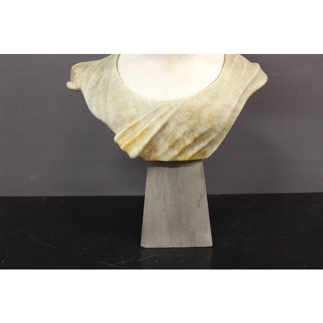 Bust of a Young Girl, 1900, Two-Tone Alabaster For Sale - Image 11 of 14