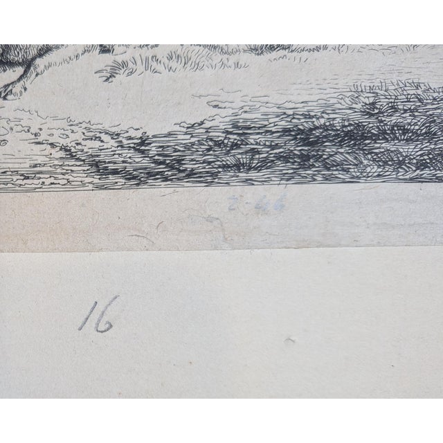 Jan Van Der Meer the Younger (Dutch, 1656–1705) Ewe With Two Lambs 1685 Etching For Sale - Image 4 of 5
