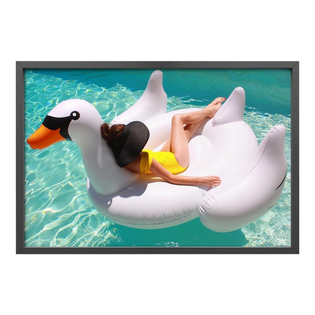 Swanning by Kelly & Fred Print with Black Frame - 40 X 60 For Sale