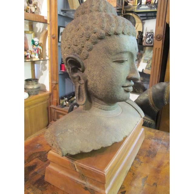 Stone Gray Chinese Qing Dynasty Large Stone Buddha Head Sculpture on Wood Stand For Sale - Image 8 of 9