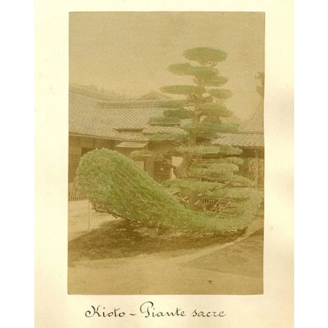 Temples of Japan is a lot of four hand-inked Albumen print with aniline applied on a single cardboard. Very good...
