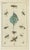 Gottlieb Tobias Wilhelm, Bugs, Leaves & Flowers, 1832, Prints, Set of 3 For Sale - Image 4 of 6
