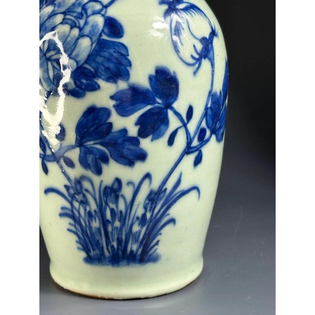 Chinese Fô Dogs Vase with Collar and Peonies Decor, 19th Century For Sale - Image 5 of 11