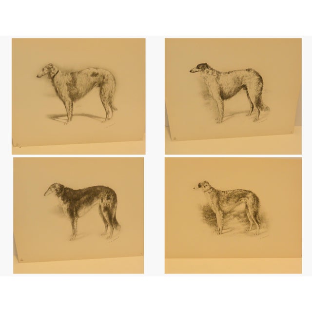 Rare 1934 Limited Edition Borzoi Portfolio: 28 Lithographs For Sale - Image 10 of 15