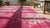 Textile 1930s Bright Pink Floral Modern Antique Chinese Art Deco Rug 8' 9'' X 11' 2'' Handknotted Wool Carpet For Sale - Image 7 of 9