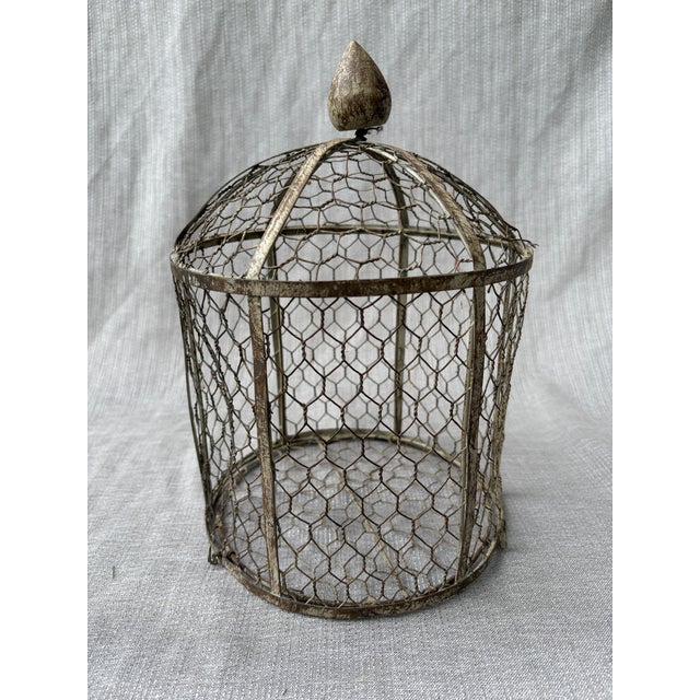 Boho Chic Vintage Indoor Wire Birdcage Garden Cloche For Sale - Image 3 of 17