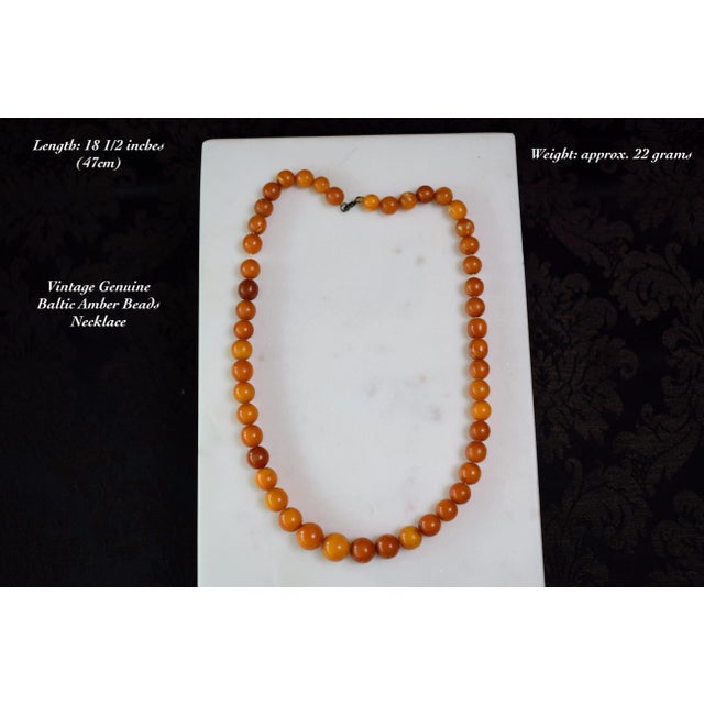 Antique Baltic Amber Choker Necklace, 1940s For Sale - Image 4 of 16