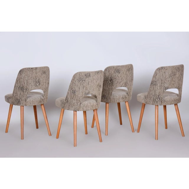 Wood Mid-Century Ash Dining Chairs attributed to Oswald Haerdtl, 1950s, Set of 4 For Sale - Image 7 of 10