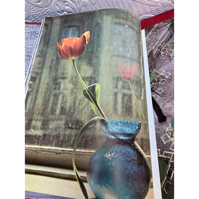 Red Mid Century 1963 Set of 18 the Encyclopedia of Photography For Sale - Image 8 of 13