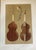 Original 19th Century Engravings of Various Musical Instruments - Set of 6 For Sale In West Palm - Image 6 of 8
