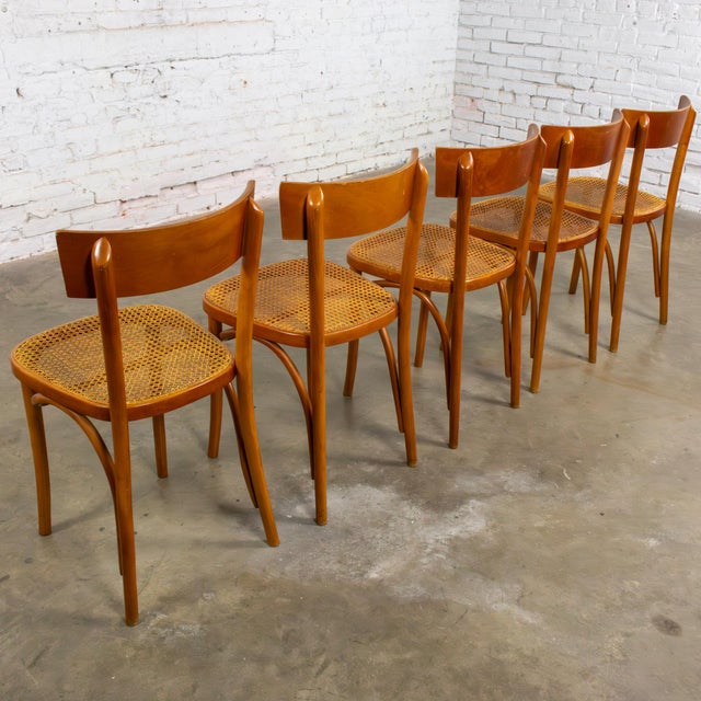 Thonet Mid to Late 20th Century Bauhaus Beech Bentwood Dining Chairs W/Cane Seats by Thonet Set of 5 For Sale - Image 4 of 18