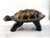 A sculptural vintage tortoise rendered in a richly textured gilt-over-dark finish, giving the surface a beautifully...