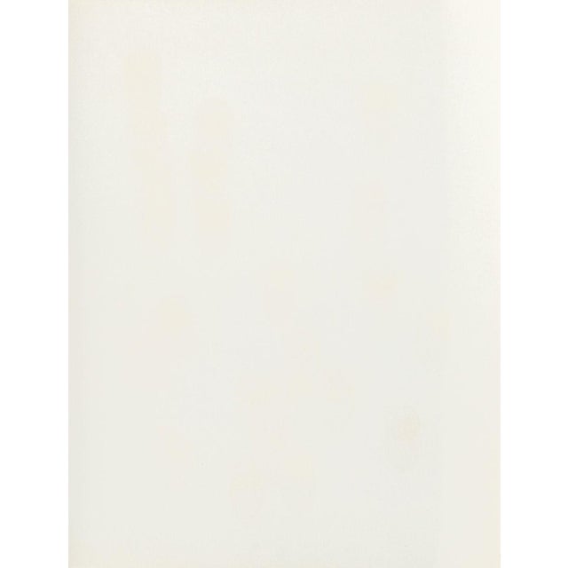 Domenick Capobianco Lithograph and Silkscreen, 2 For Sale - Image 12 of 12