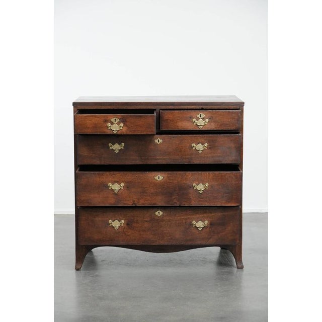 Antique English Chest of 5 Drawers For Sale - Image 3 of 16