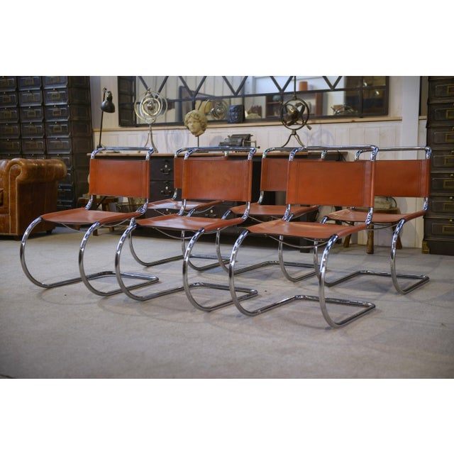 Metal Vintage Bauhaus MR10 Chairs by Ludwig Mies Van Der Rohe, 1970s, Set of 6 For Sale - Image 7 of 15
