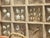Coastal Vintage Florida Sea Shell Collection Marine Specimens For Sale - Image 3 of 7