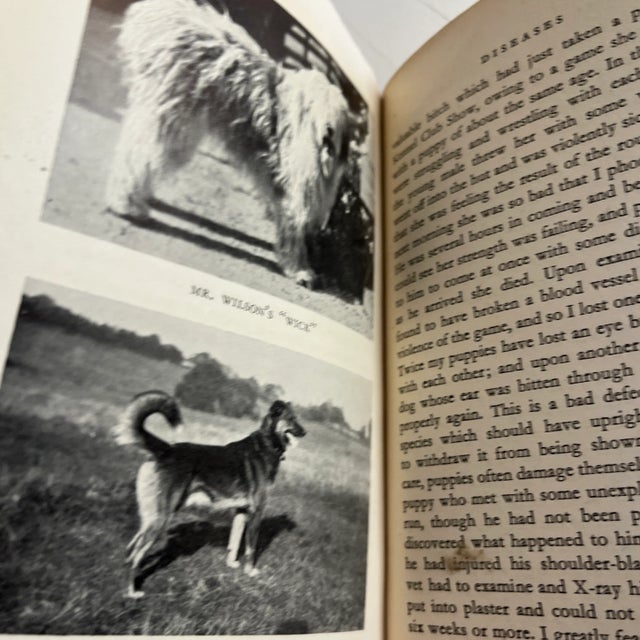 1940s 1948 Collies and Sheep Dogs Book For Sale - Image 5 of 9