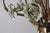 Hollywood Regency Gilded and Cream Rose and Bellflower Chandelier, Italy, 1960s For Sale - Image 9 of 16