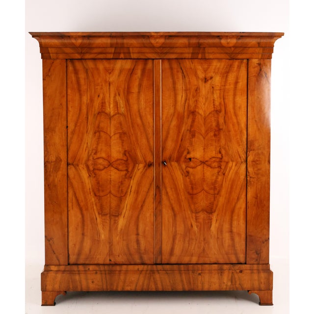 Brown Biedermeier Hall Cabinet in Walnut, 1820 For Sale - Image 8 of 8