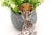Toothpick Holder with Chalice on Silver Vase For Sale - Image 3 of 6