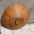 Wood Modernist Art Sculptural Kauri Wood Bowl Beddek Nz For Sale - Image 7 of 12