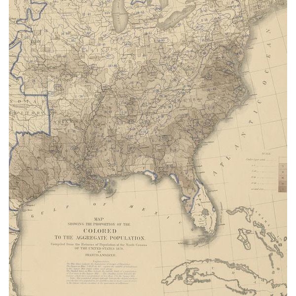 Antique Chart of the US Population Proportion, 1874 For Sale - Image 4 of 5