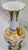 Late 19th Century Richard Klemm Dresden Antique Hand-Painted Floral Porcelain Vase With Gold Gilt Handles, Germany For Sale - Image 5 of 13