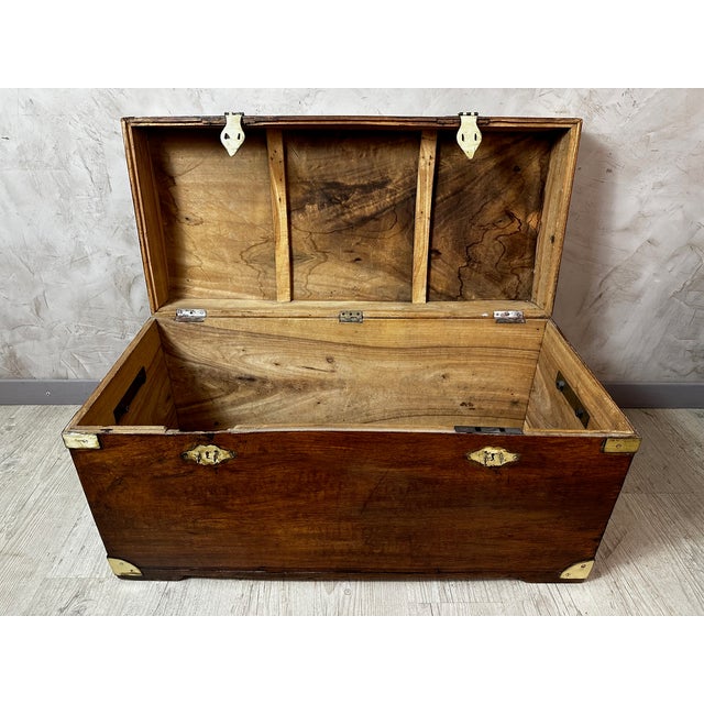 Antique Camphor Wood Chest, 1900 For Sale - Image 10 of 14