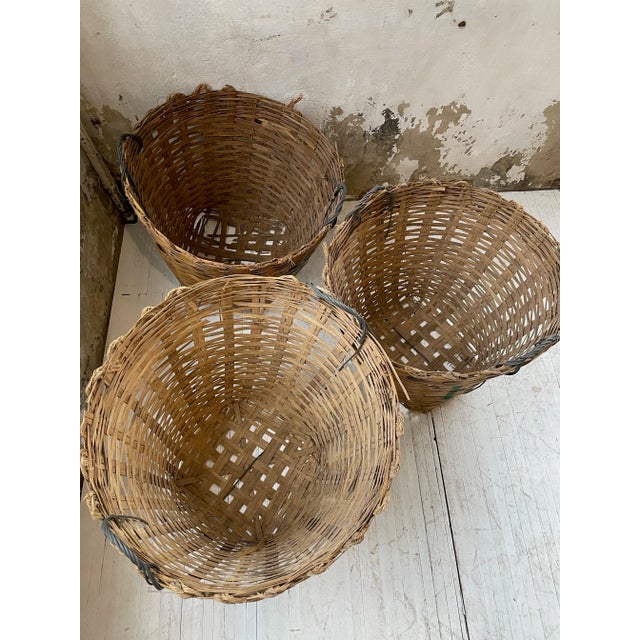 XXL Laundry Baskets, 1970s, Set of 3 For Sale - Image 16 of 18