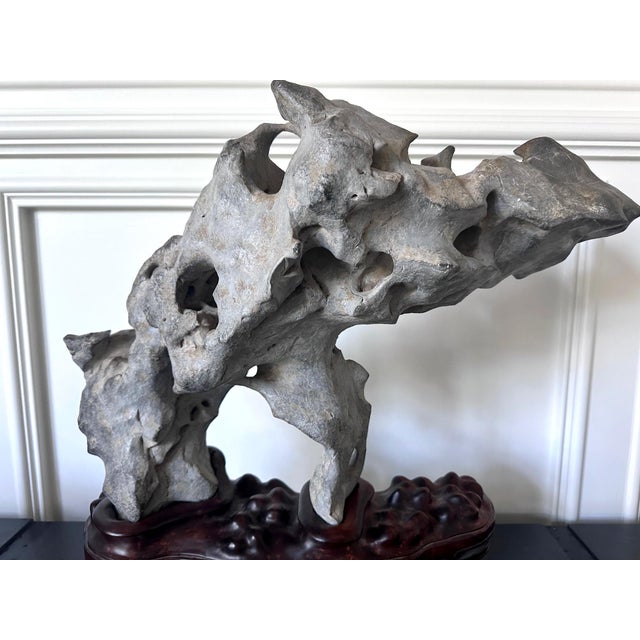 Extraordinary Chinese Taihu Scholar Stone Rare Form on Display Stand For Sale - Image 13 of 18