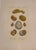 Beautiful set of three original 19th-century French hand-colored natural history engravings depicting mollusks and shell...