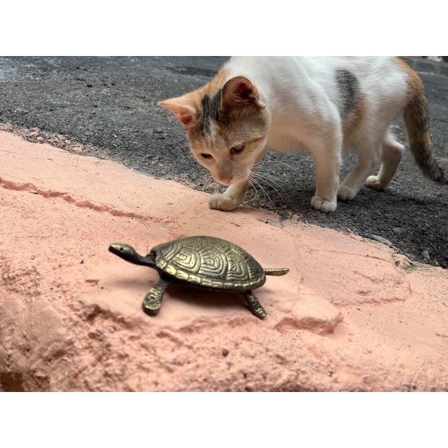 Decorative ashtray with lid, turtle design, made by brass. Great for displaying your unique decoration. Height: 8 cm 3.2...