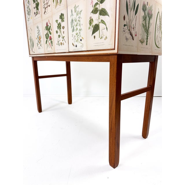1950’s Swedish Cabinet With Nordens Flora Illustrations For Sale In Boston - Image 6 of 11
