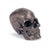 Not Yet Made - Made To Order Regina Andrew Metal Skull in Antique Bronze For Sale - Image 5 of 5