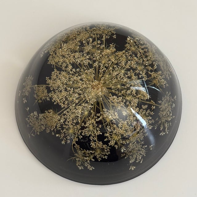 Black Vintage Botanical Resin Paperweight With Pressed Queen Anne's Lace For Sale - Image 8 of 17