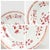 Set of 4 Antique Chinese Export Porcelain Pink or Familie Rose Floral Plates For Sale - Image 14 of 18