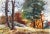 Tinted in hues of orange and brown, Eve Nethercott's rendering of a Maine forest is inviting and quaint. As the leaves of...
