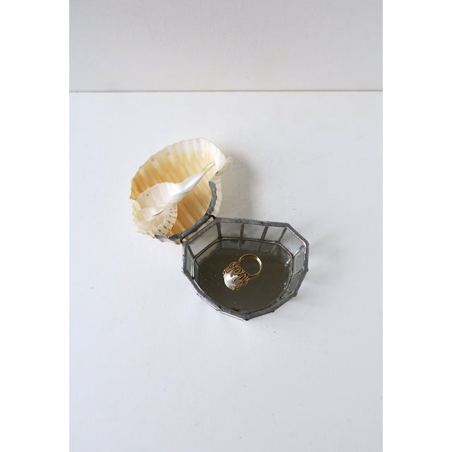 Seashell Jewelry Trinket Box For Sale In New York - Image 6 of 12